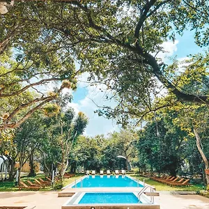 https://nivadoo-resort-sigiriya.kandyhotelsnow.com